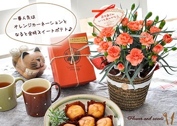母の日の起源についてお話しました 母の日の由来やまつわる意味